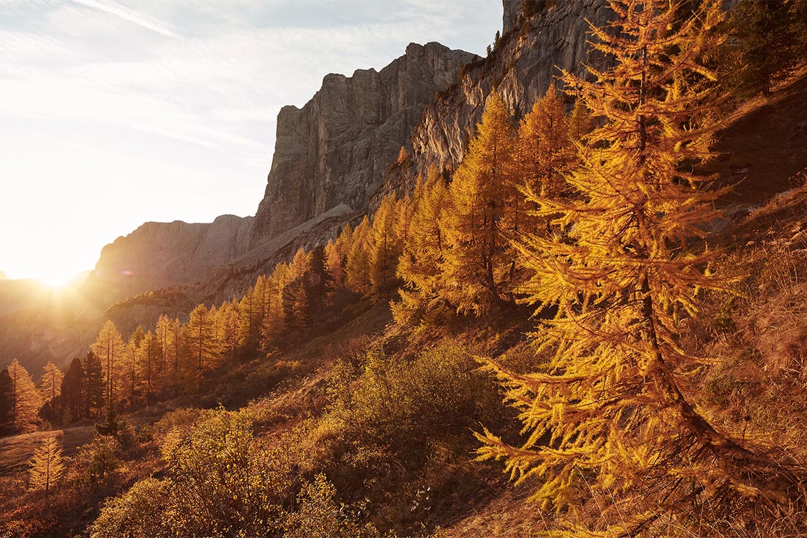 Herbstliche Farben der Dolomiten in Südtirol im September