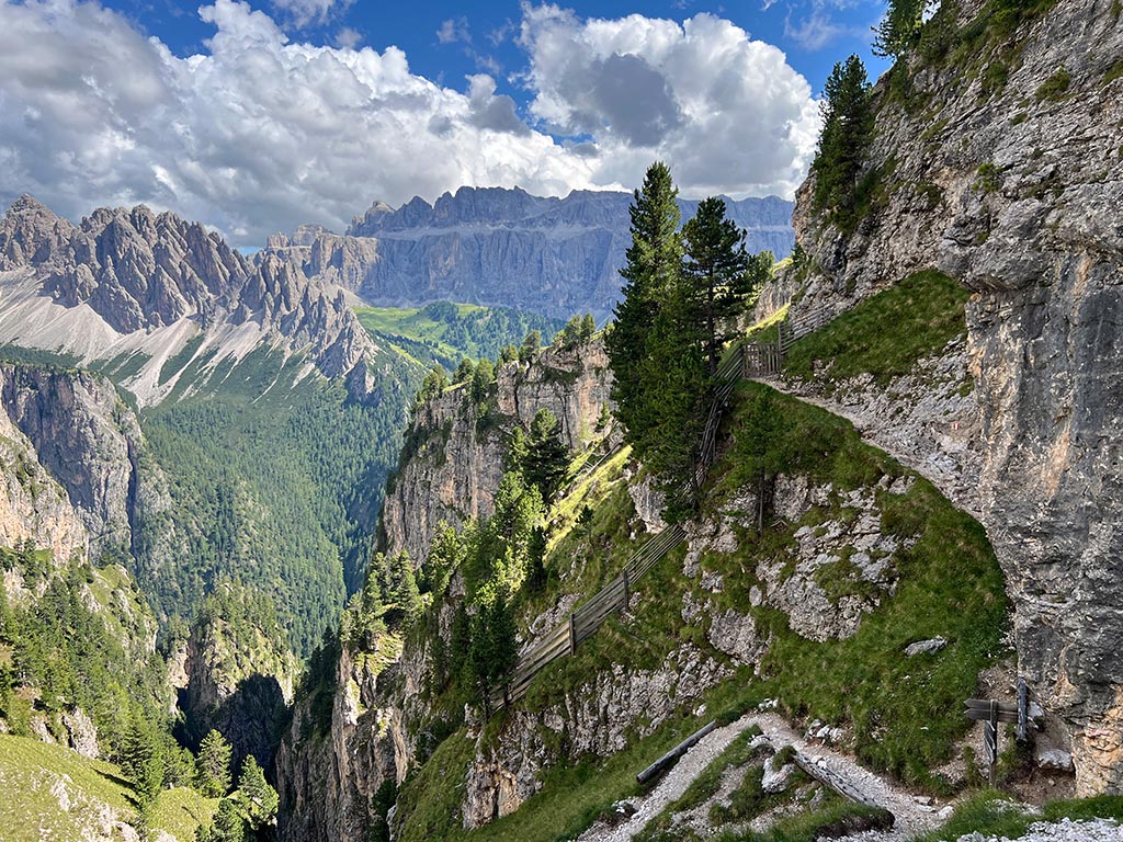 Hike from Selva di Val Gardena / Juac to Stevia mountain, in the background Cir group and Sella Group in summer
