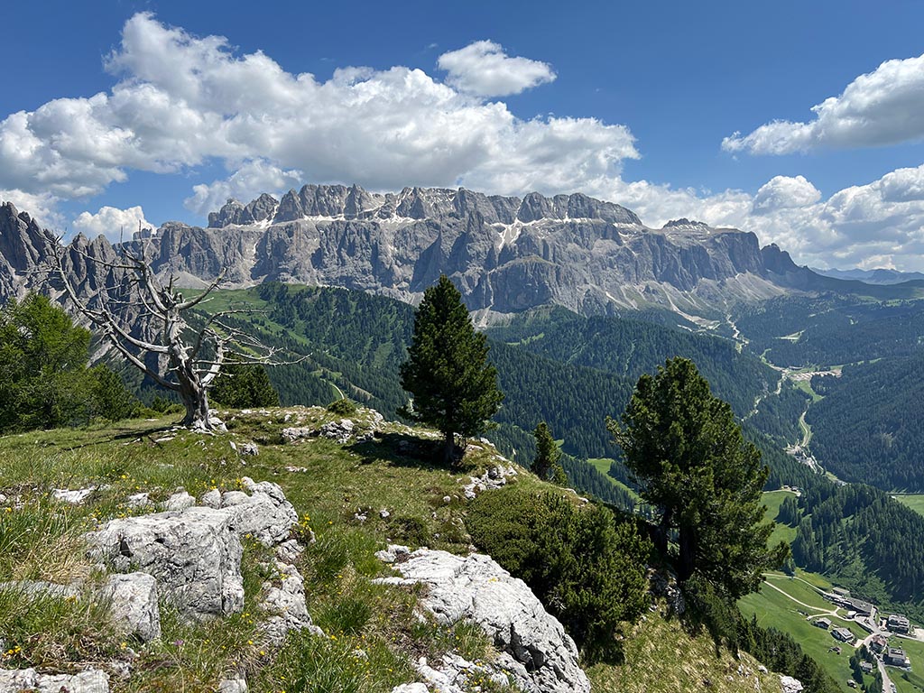 Panoramisch uitzicht van Stevia naar de Cir Peaks en de Sella Group in de zomer