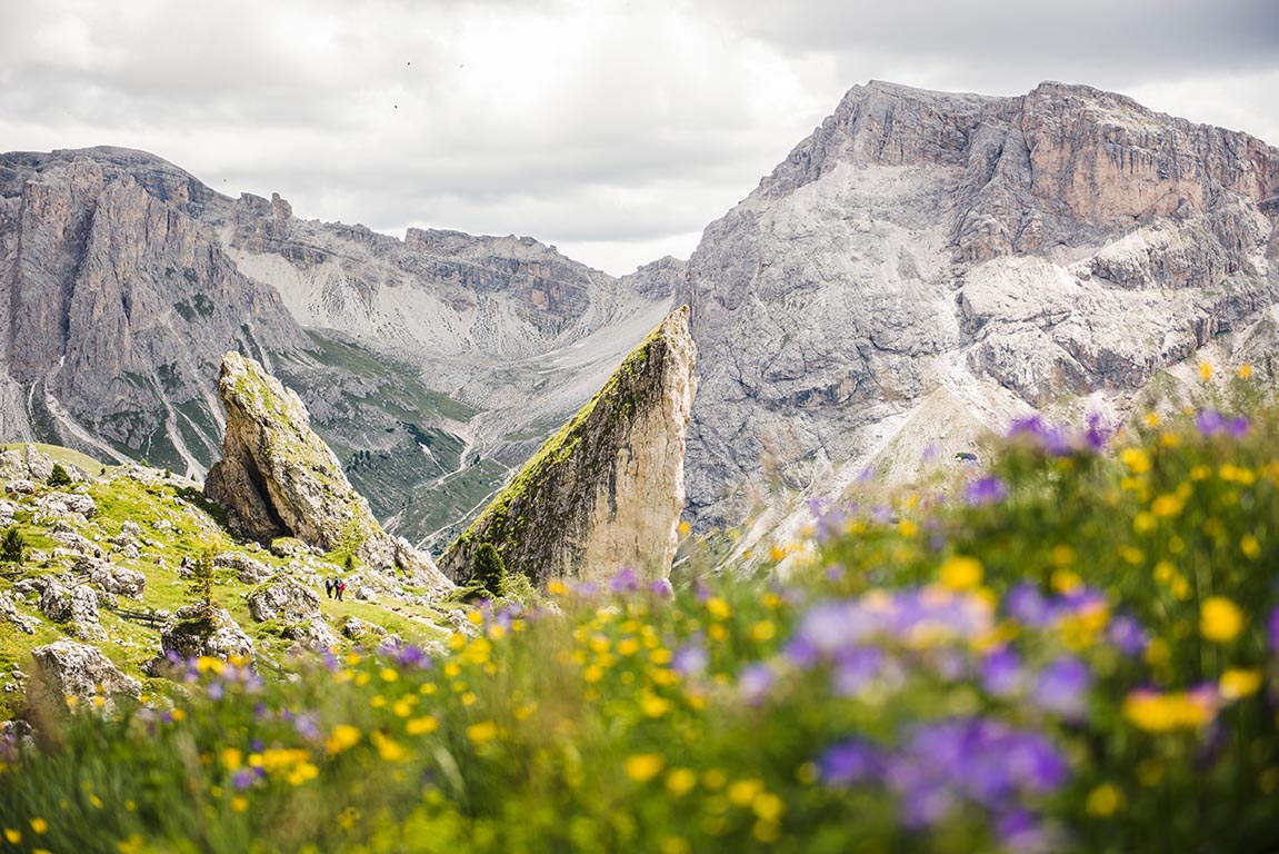 Pieralongia Hike under the Odle peaks in summer