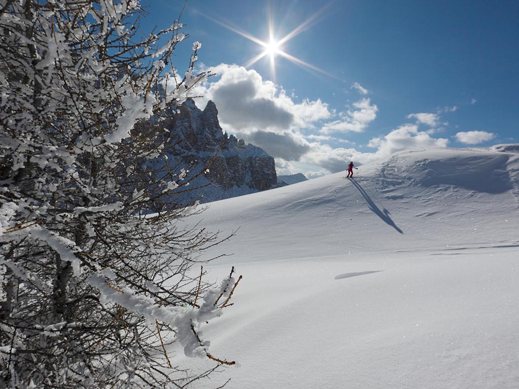 Skiing at Dantercepies