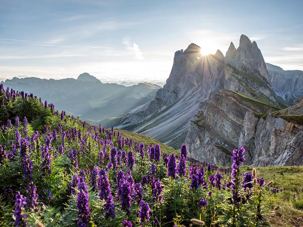 Beautiful view of the Odle, seen from the Seceda in summer