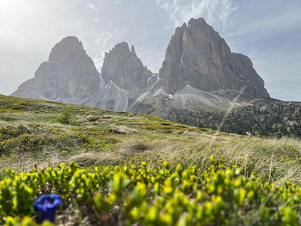 Sassolungo in Selva in de zomer