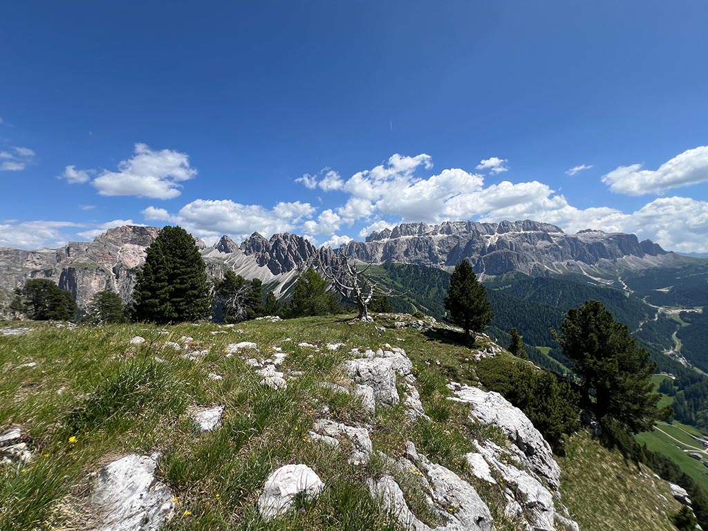 View from Stevia Mountain · View of Cir and Sella Group in summer