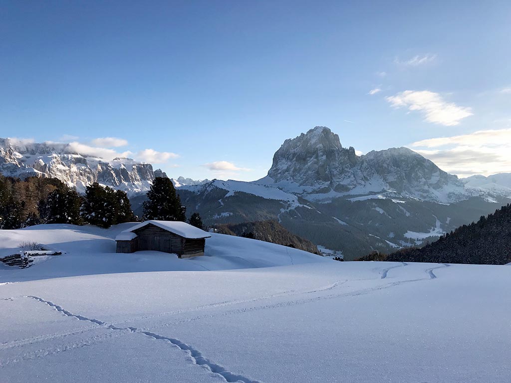 Winter panorama with alpine hut, Sella Group and Sassolungo in winter