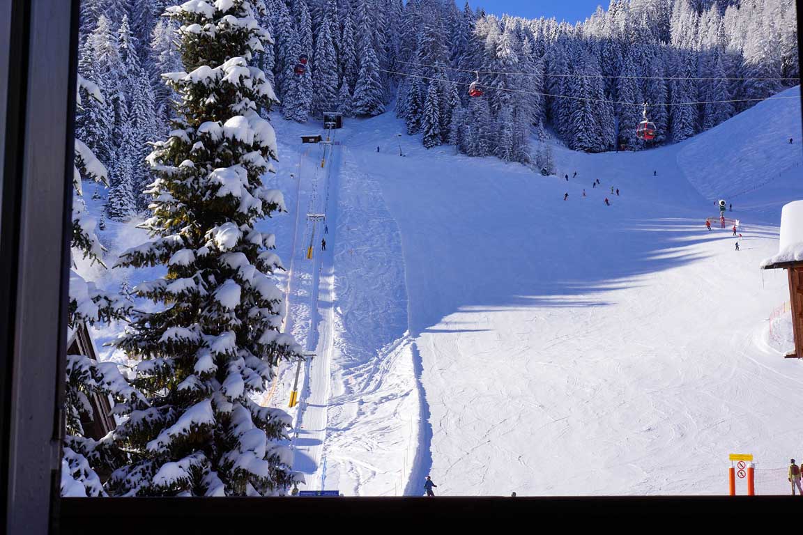 View from a room towards the ski run - 可以享受滑雪进出的便利