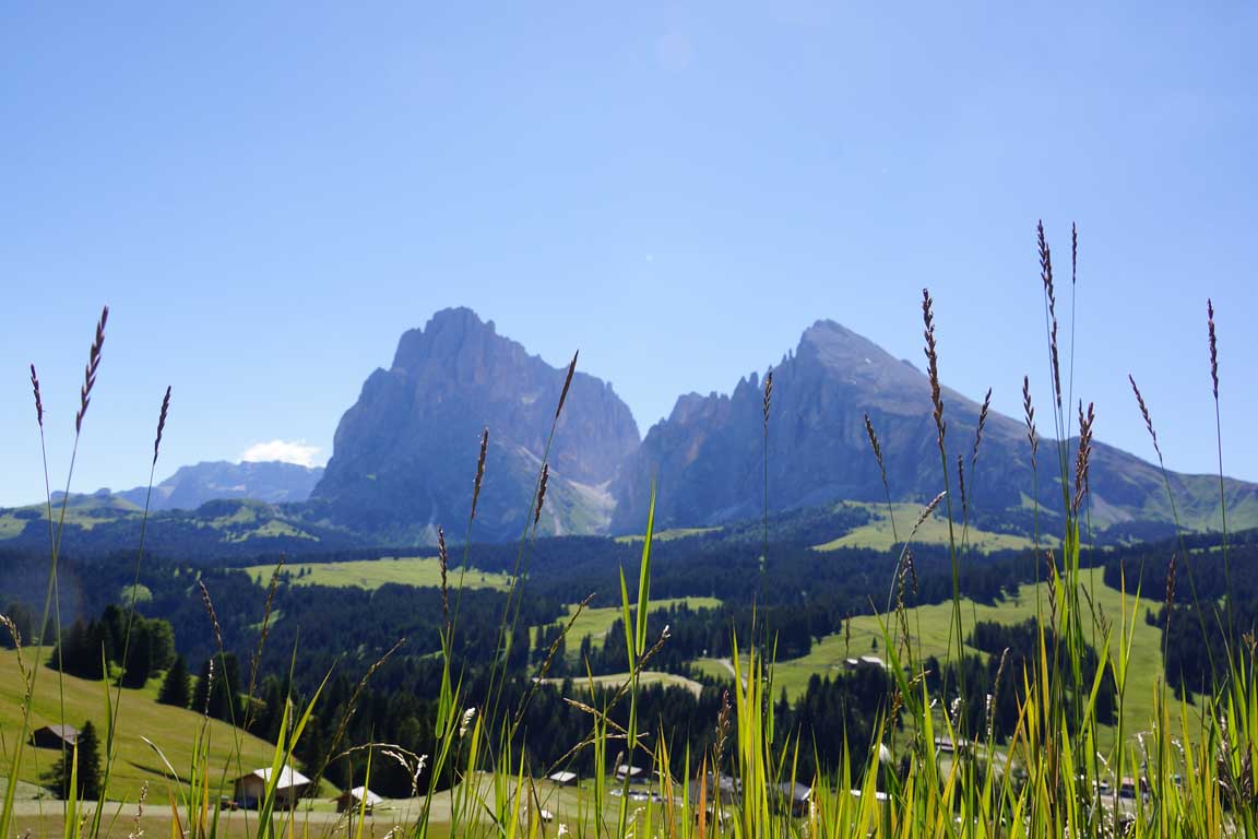 Hiking and walking holidays in South Tyrol - Cir mountain range